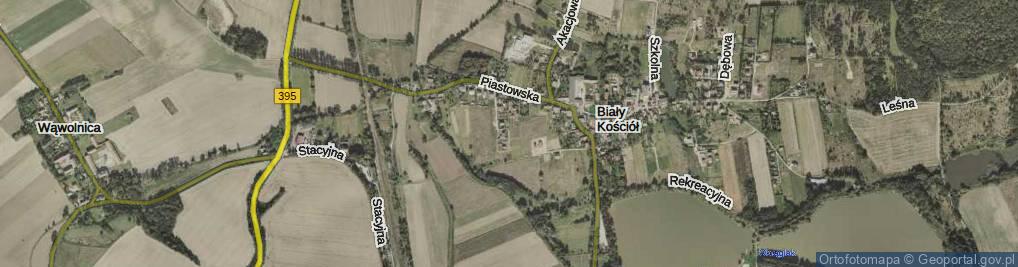 Zdjęcie satelitarne Miętowa ul.